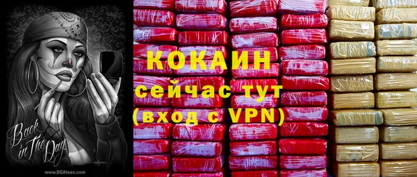 шишки Абинск