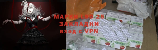 шишки Абинск