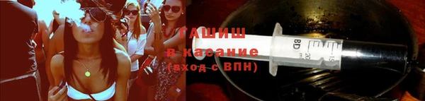 гидра Алексеевка