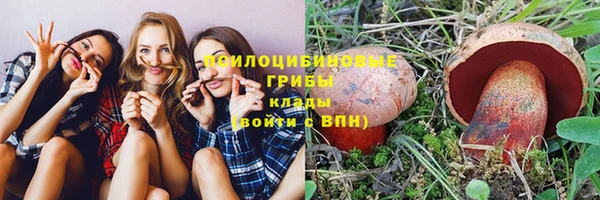 2c-b Абдулино