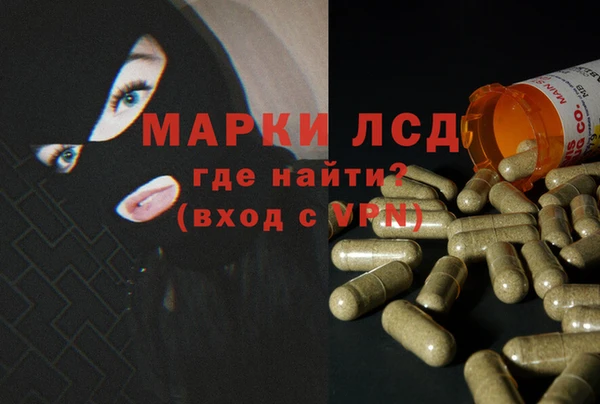 гидра Алексеевка
